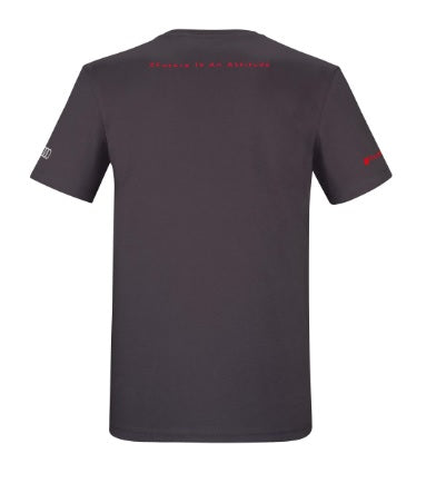 Audi Sport T-shirt RS Q e-tron, men, grey – Audi Lifestyle
